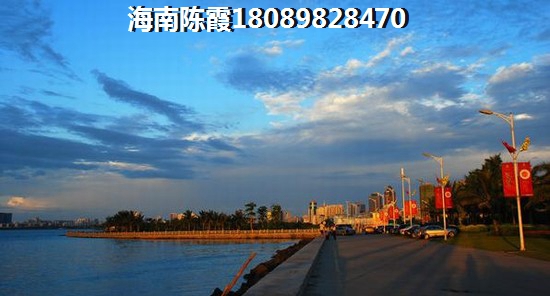 醉后的旅行下载mp3免费