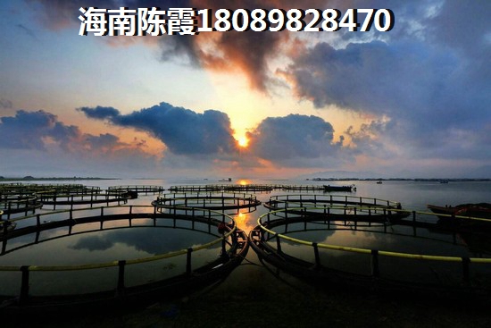 龙湖天境多少户