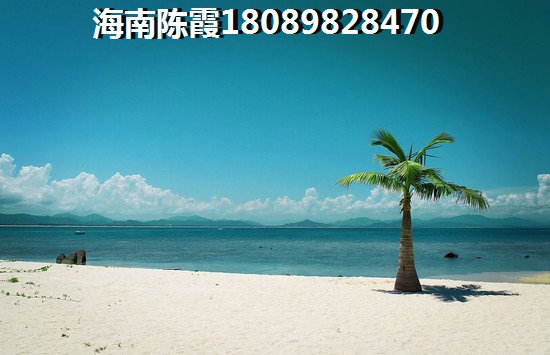 黄果树景区能带狗么