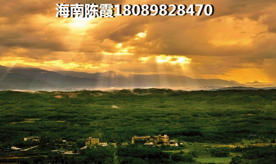 狄仁杰之通天人偶介绍